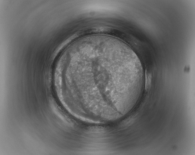 X0000113230435200910011413