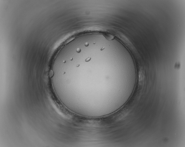 X0000113230436200910011413