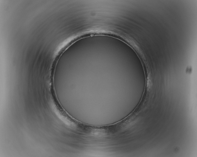 X0000113230438200910011413