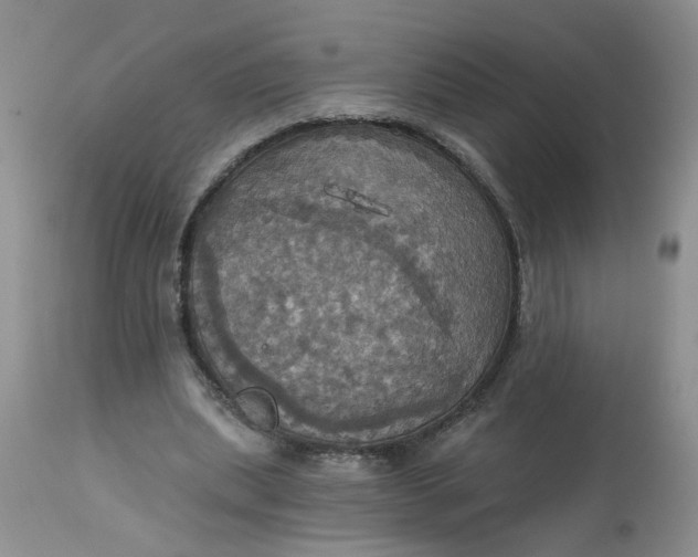 X0000113230439200910011413