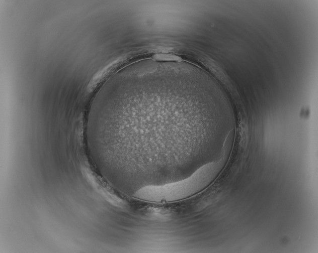 X0000113230442200910011413