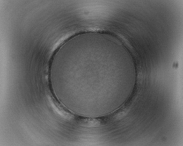 X0000113230443200910011413