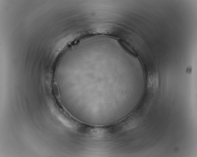 X0000113230444200910011413