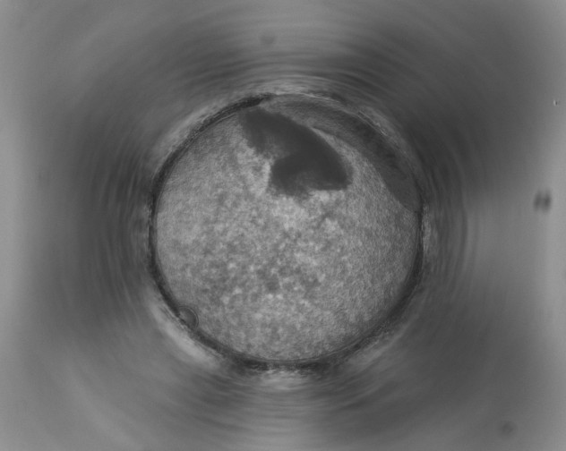 X0000113230445200910011413