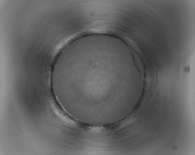 X0000113230446200910011413