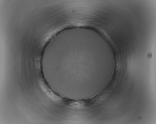 X0000113230447200910011413