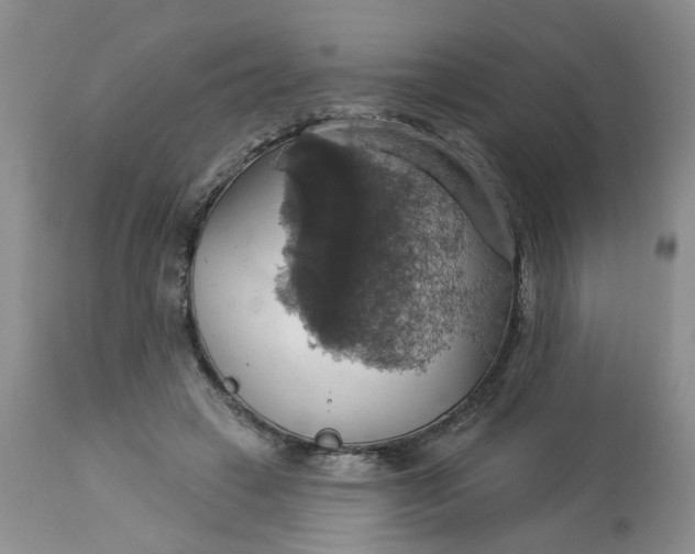 X0000113230449200910011413