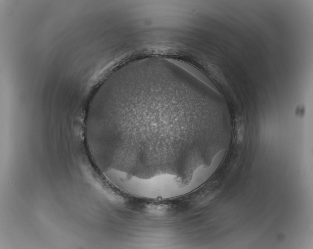 X0000113230450200910011413