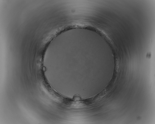 X0000113230451200910011413