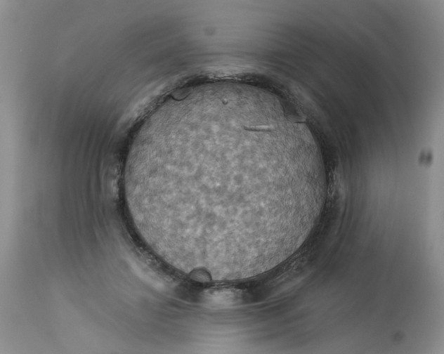 X0000113230452200910011413