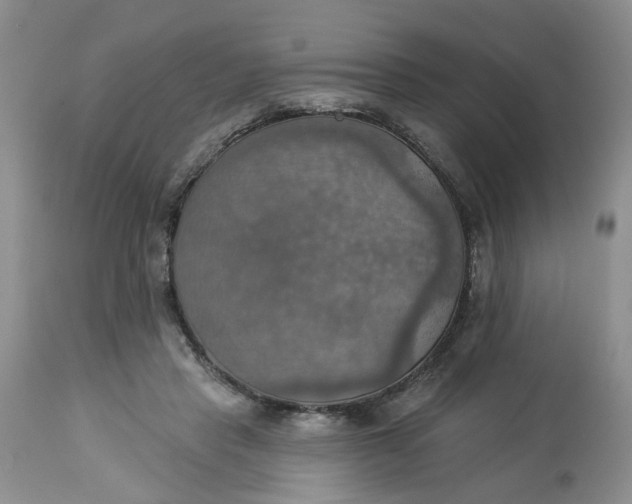 X0000113230453200910011413