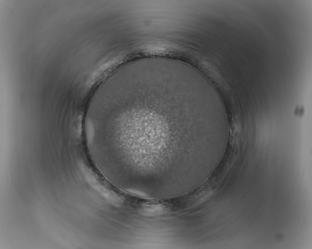 X0000113230454200910011413