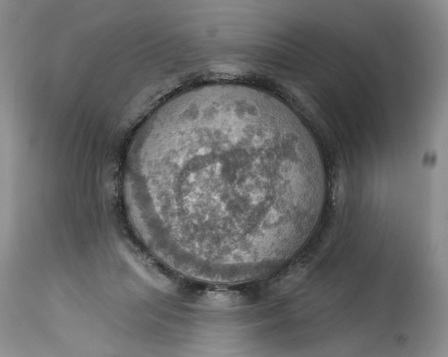 X0000113230455200910011413