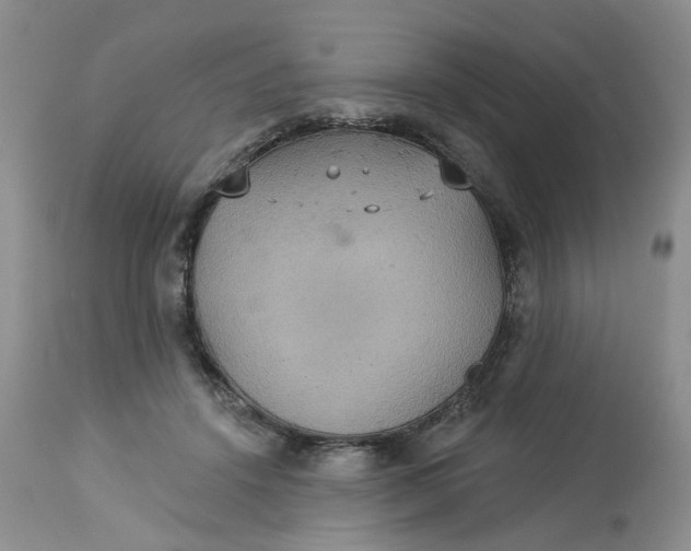 X0000113230456200910011413