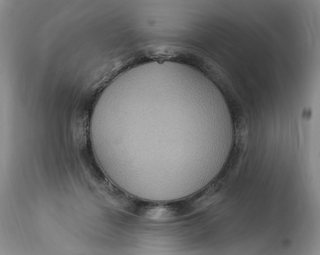 X0000113230460200910011413