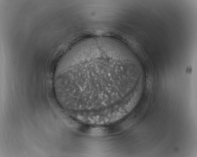 X0000113230461200910011413