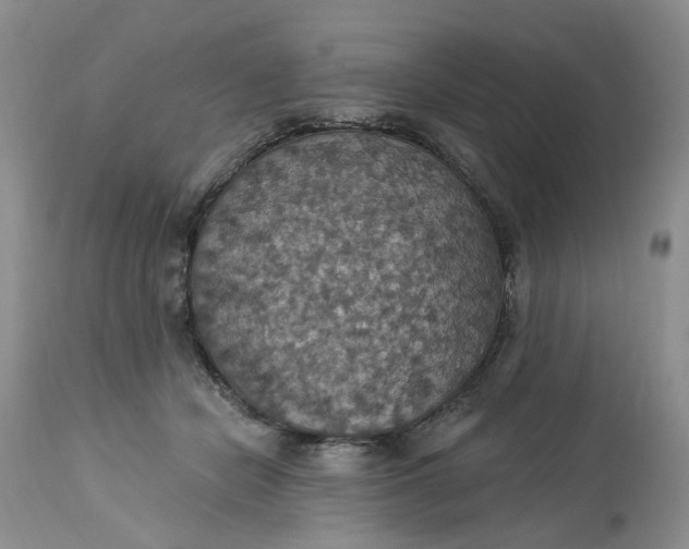 X0000113230462200910011413