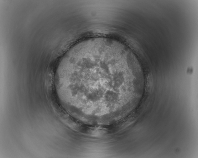 X0000113230463200910011413