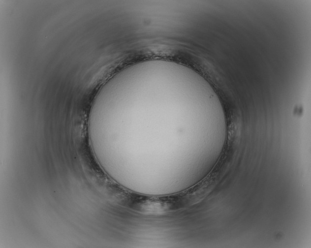 X0000113230464200910011413