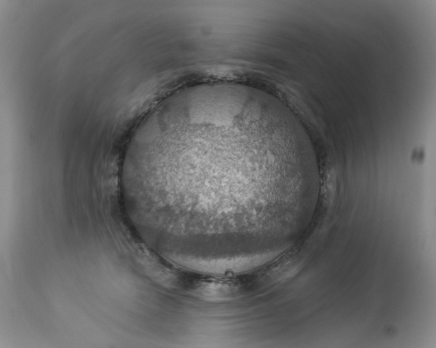 X0000113230466200910011413