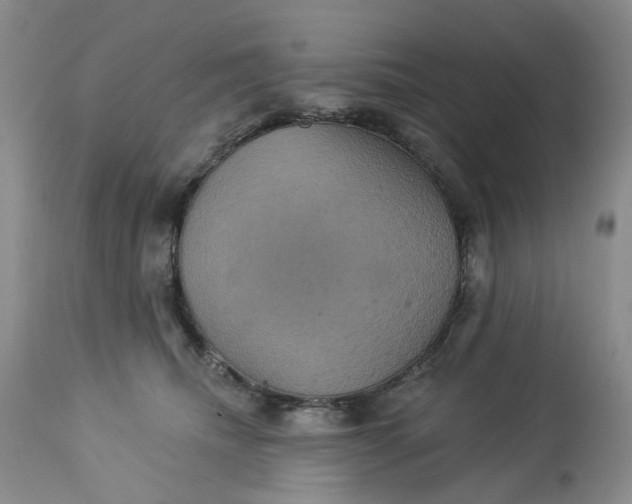 X0000113230468200910011414