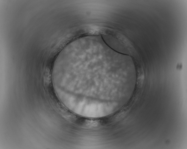 X0000113230469200910011414