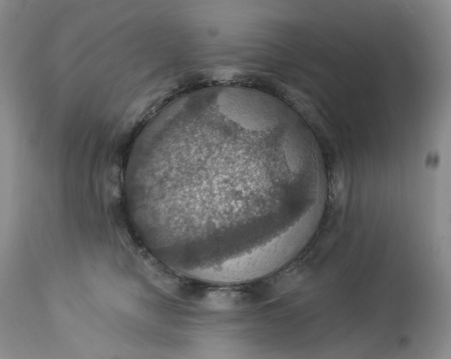 X0000113230470200910011414