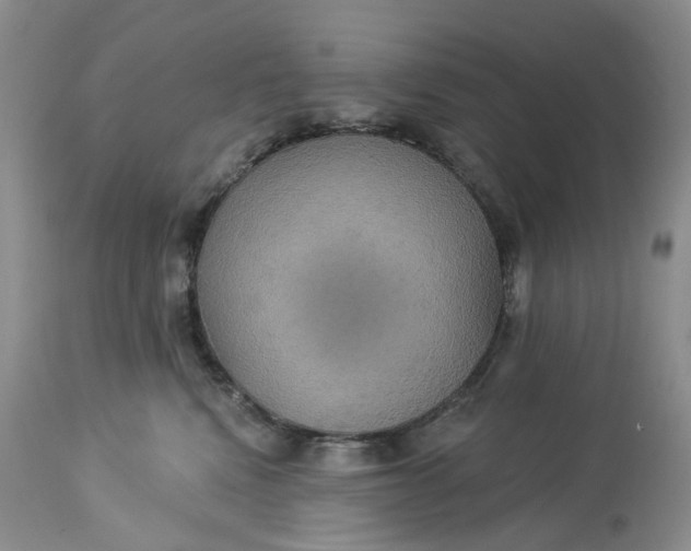 X0000113230472200910011414