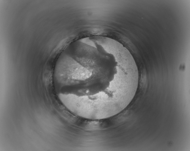 X0000113230473200910011414