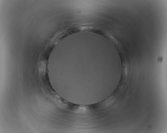 X0000113230475200910011414