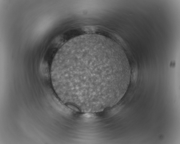 X0000113230477200910011414