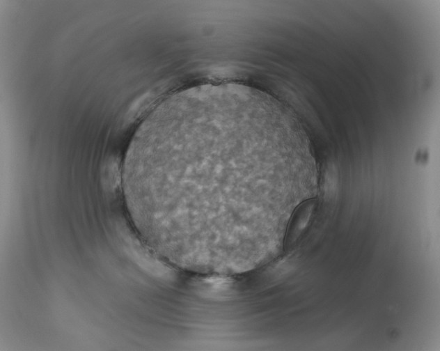 X0000113230478200910011414