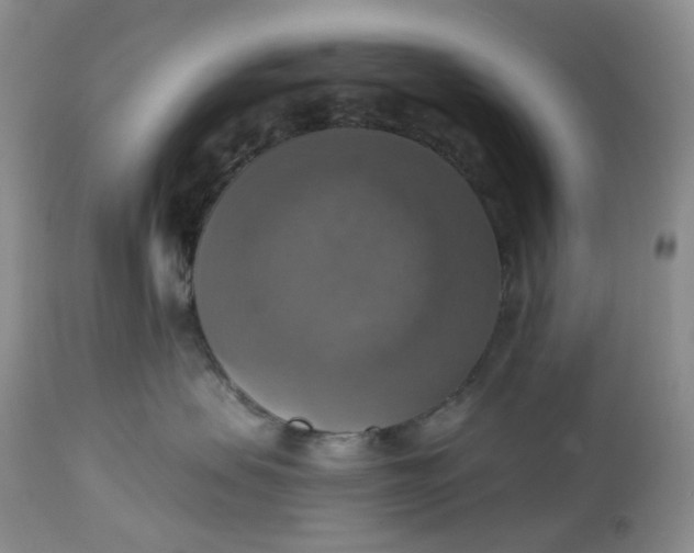 X0000113230479200910011414