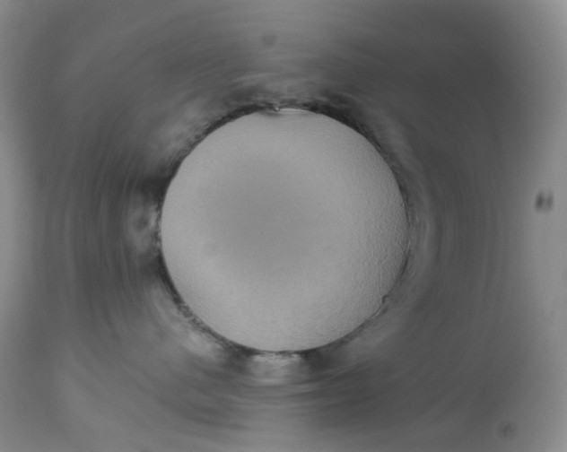 X0000113230480200910011414