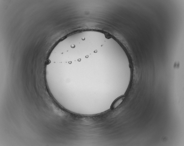 X0000113230481200910011413