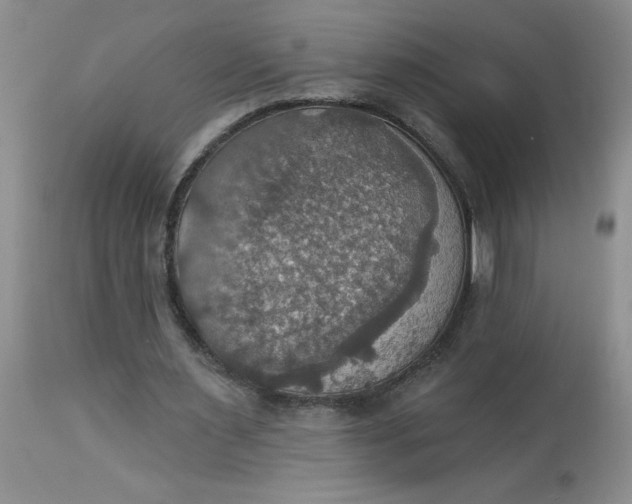 X0000113230483200910011413