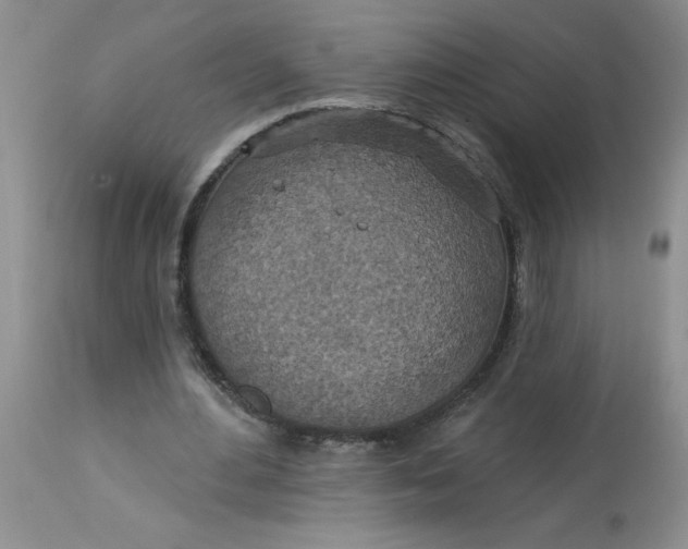 X0000113230484200910011413