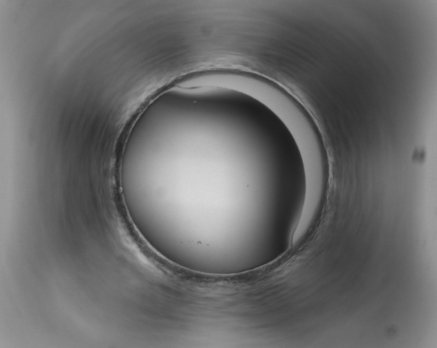 X0000113230485200910011413