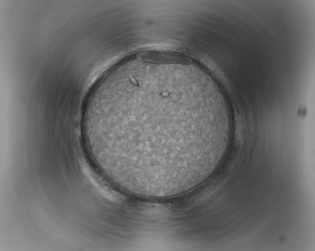 X0000113230486200910011413