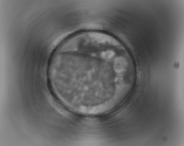 X0000113230487200910011413