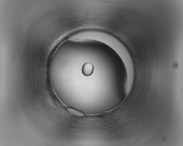 X0000113230488200910011413