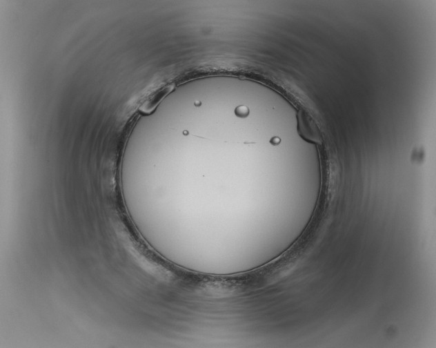 X0000113230489200910011413