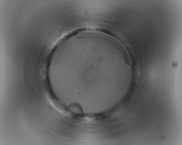 X0000113230496200910011413