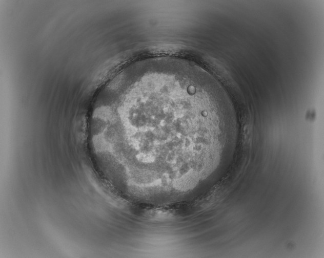 X0000113230498200910011413