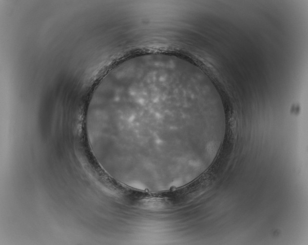 X0000113230499200910011413