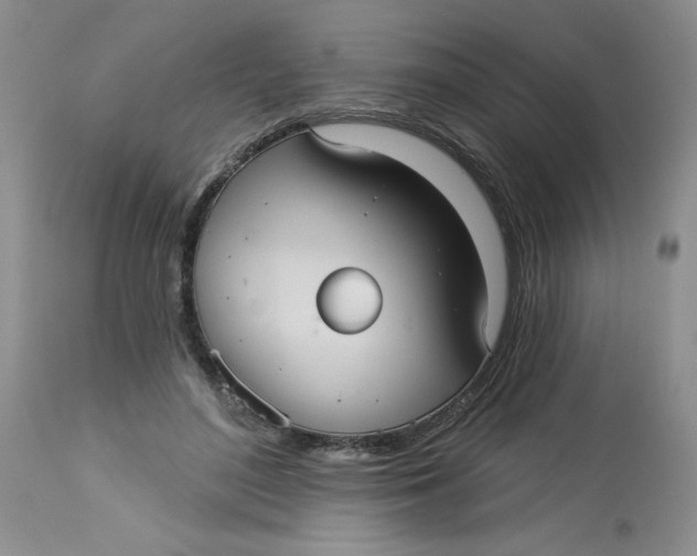 X0000113230500200910011413