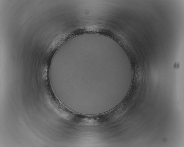 X0000113230502200910011413