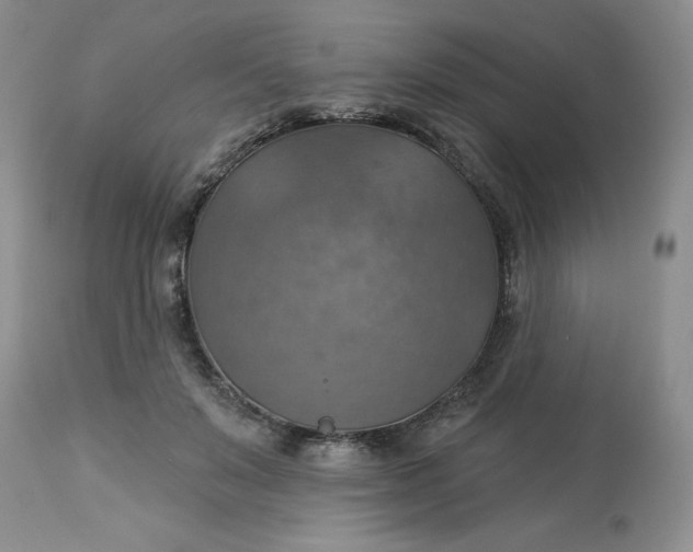 X0000113230503200910011413