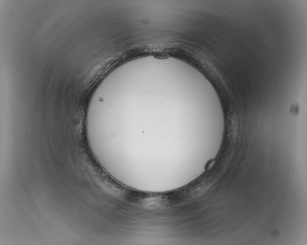 X0000113230505200910011413