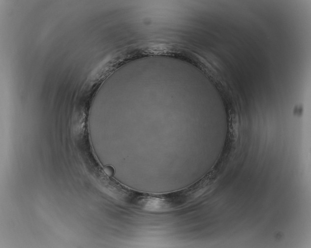 X0000113230507200910011413